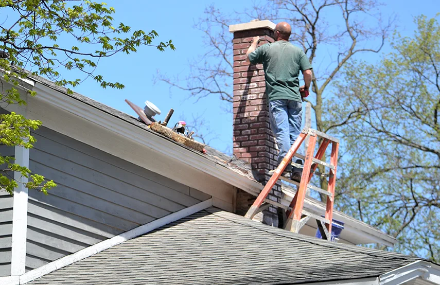 Chimney & Fireplace Inspections Services in Sachse, TX